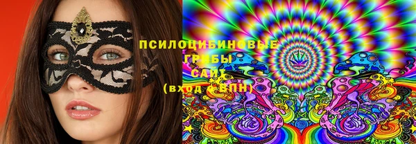 ECSTASY Богородицк