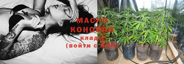 ECSTASY Богородицк